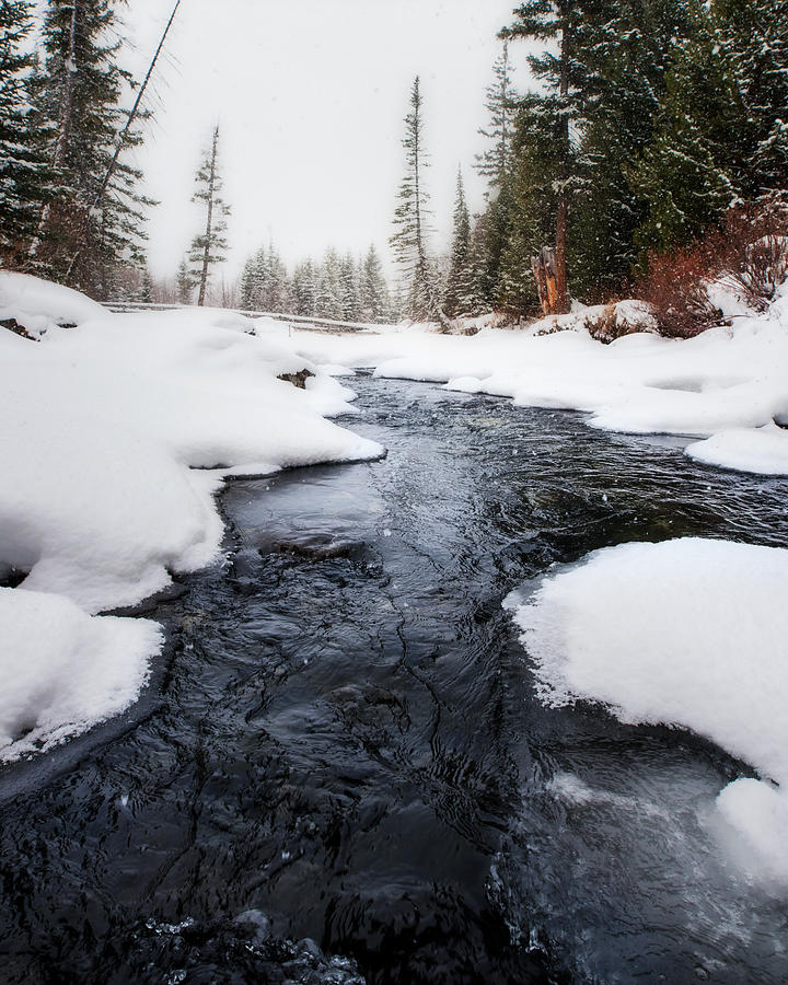 Winter Photograph - Bitterroot Winter Creek by Matt Hammerstein