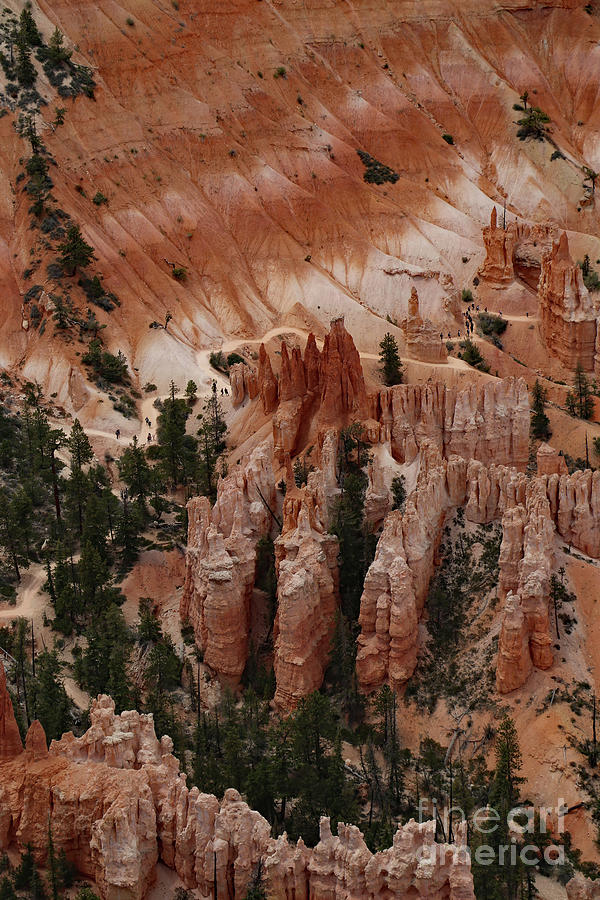 Bryce Canyon National Park Photograph - Bizarrely Shaped Rocks by Christiane Schulze Art And Photography