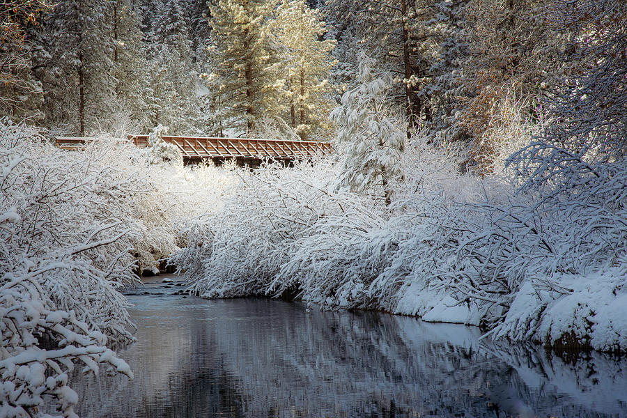 Bizz Bridge Snowy Morning Photograph by Mike Lee