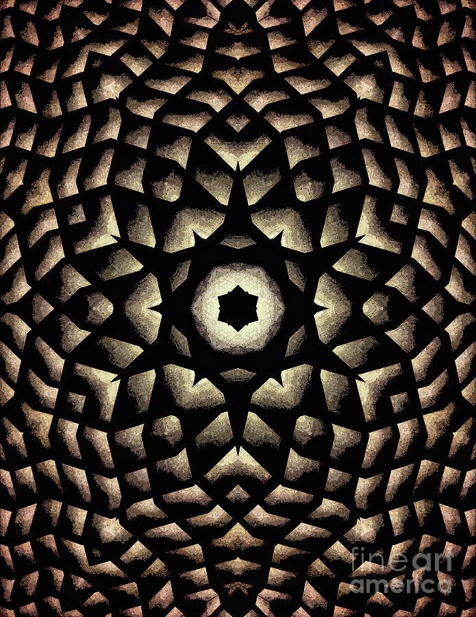 Black and Gold Mandala Digital Art by Phil Perkins