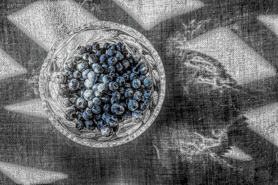 Black and White and Blueberry Photograph by Sharon Popek
