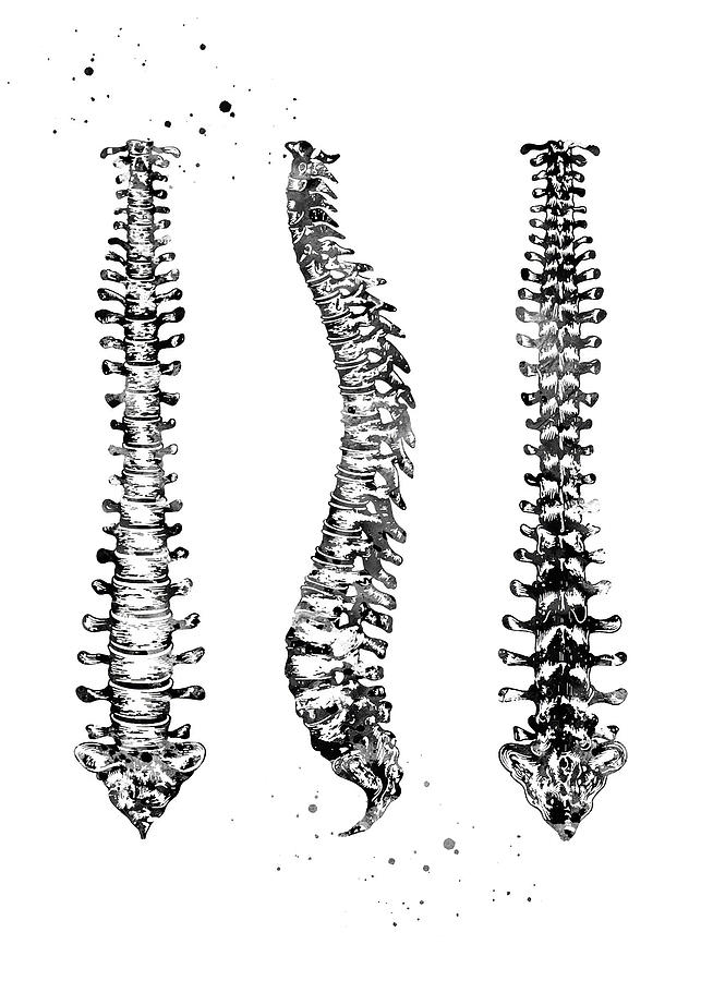 Black And White Art Human Spine Digital Art by Towery Hill - Fine Art ...