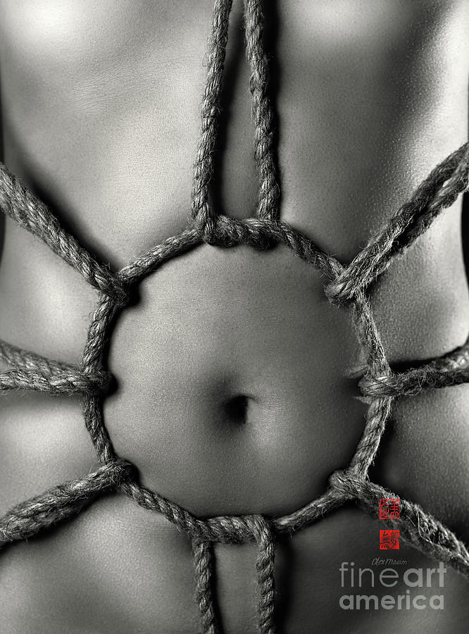 Black and white art nude sexy woman body with Shibari rope bondage on stomach Art Print MXI22870 Photograph by Maxim Images Exquisite Prints