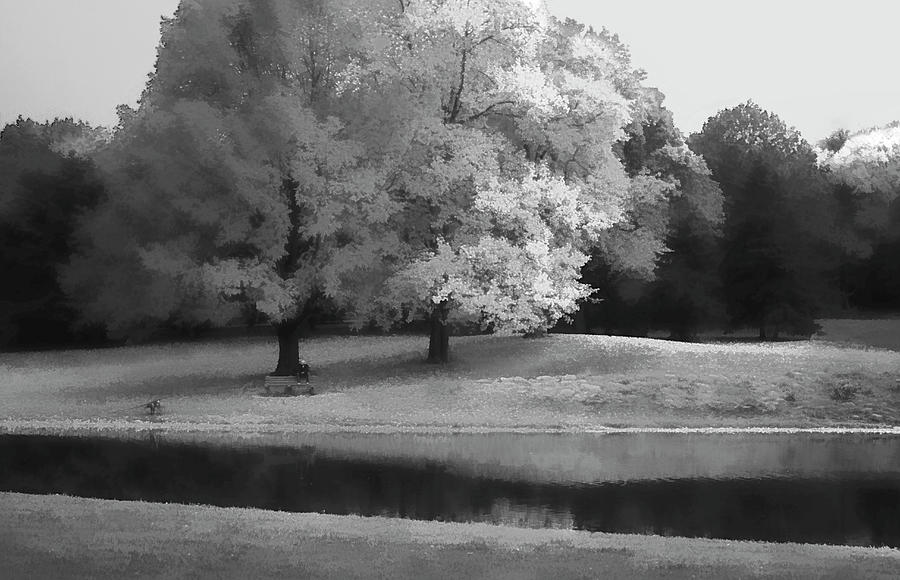 Black and White Autumn in Brookdale Park Photograph by Kellice Swaggerty