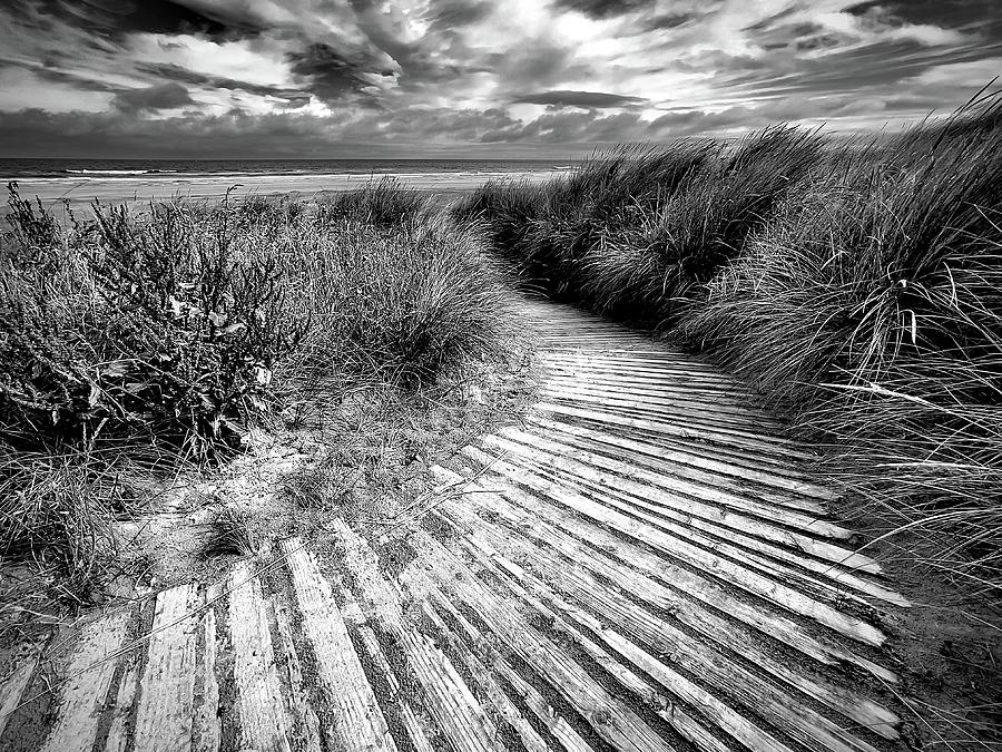 Black and white Beach Photograph by S J Bryant
