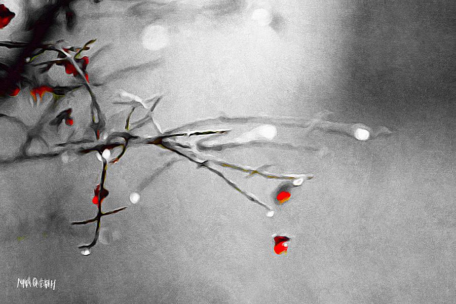 Black and White Branches  Digital Art by Mariam Bazzi