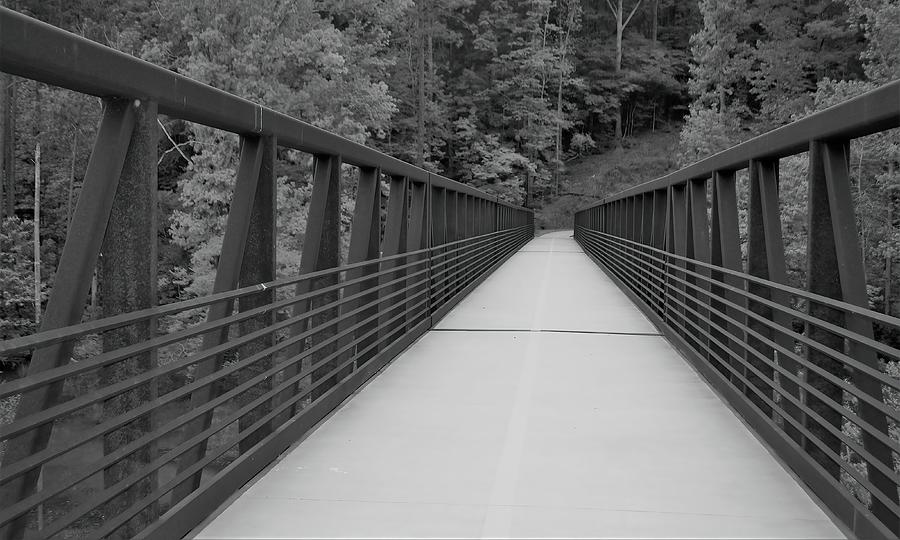 Black And White Bridge Photograph
