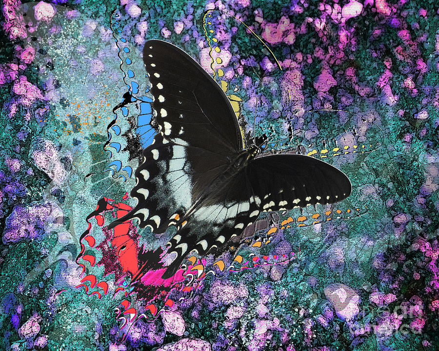 Black And White Butterfly Digital Art by Anthony Ellis