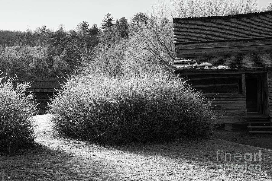 Black And White Cabins Photograph by Phil Perkins