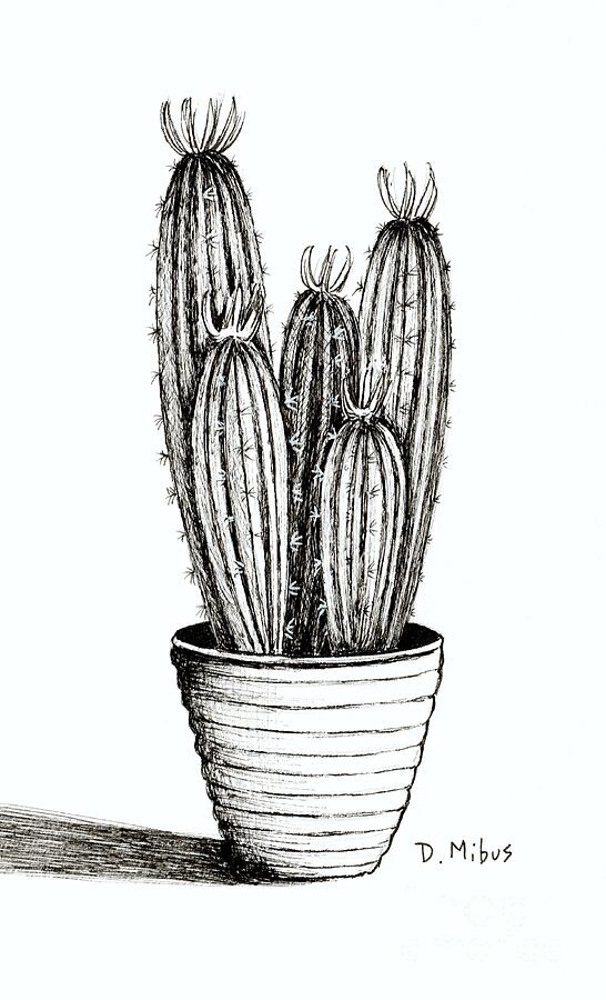 Black and White Cacti in a Pot Drawing by Donna Mibus