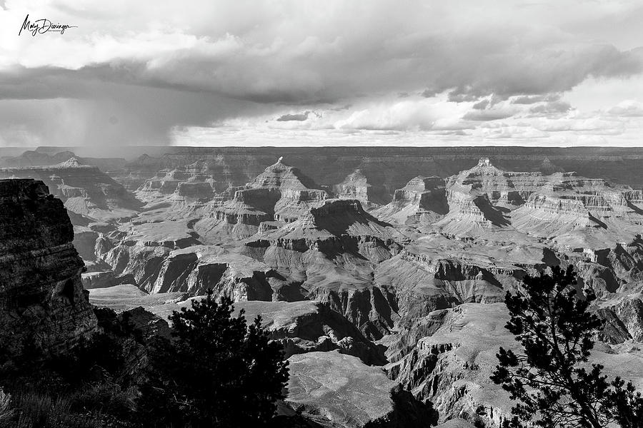 Black and White Canyon Photograph by Mary Dieringer | Fine Art America