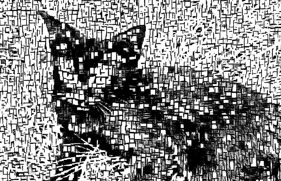 Black and White Cat Impressions Mixed Media by Ally White