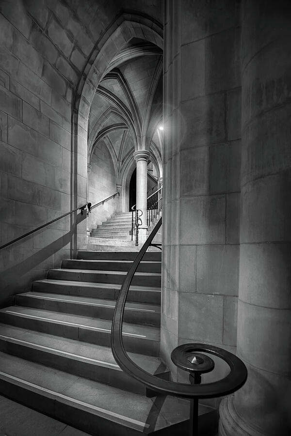 Black and White Cathedral Crypt Stairs  Photograph by Harriet Feagin