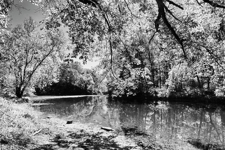 Black And White Creek Photograph by Denise Harty - Pixels