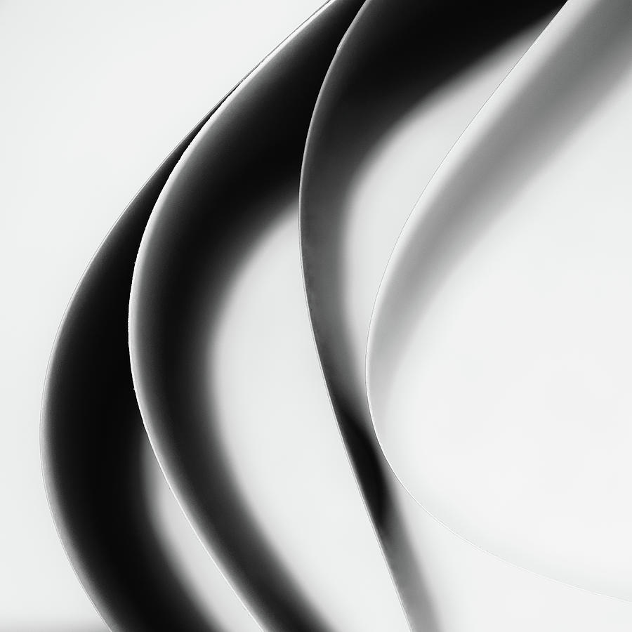 Black And White Curves - Paper Abstract Photograph by Elvira Peretsman