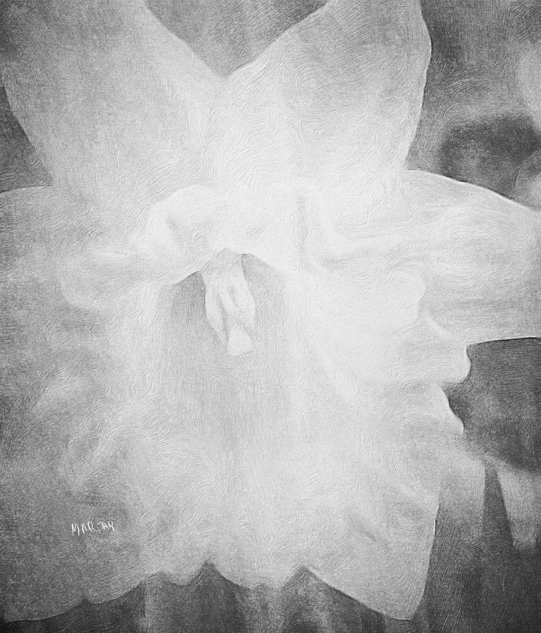 Black and White Daffodil  Digital Art by Mariam Bazzi