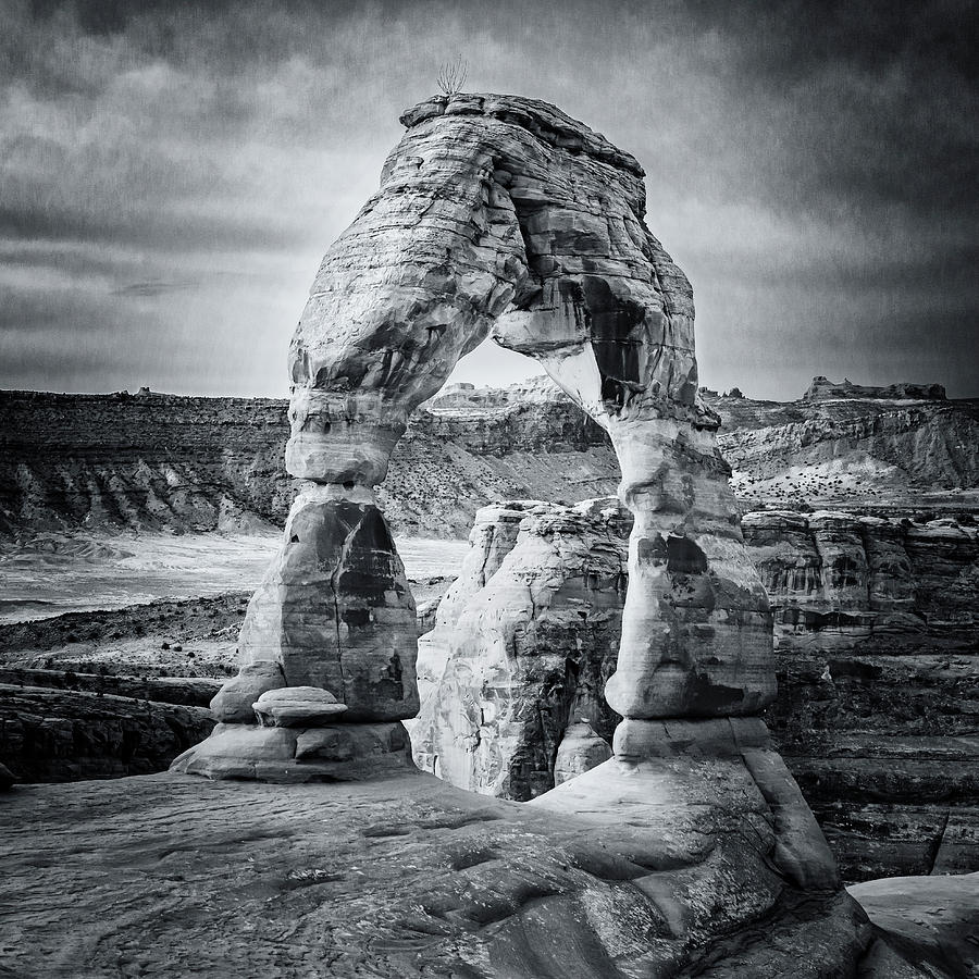 Black and White Delicate Arch by Joan Carroll Black and White Delicate Arch by Joan Carroll