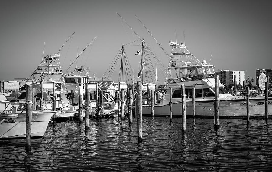 Black And White Destin Harbor Florida Photograph by Dan Sproul