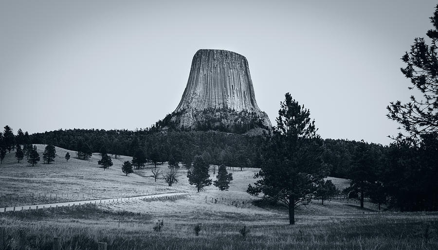 Black And White Devils Tower Wyoming Photograph by Dan Sproul