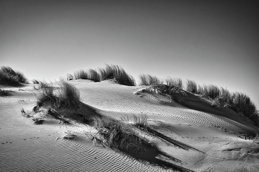Black and White Dune Photograph by Lars Meis