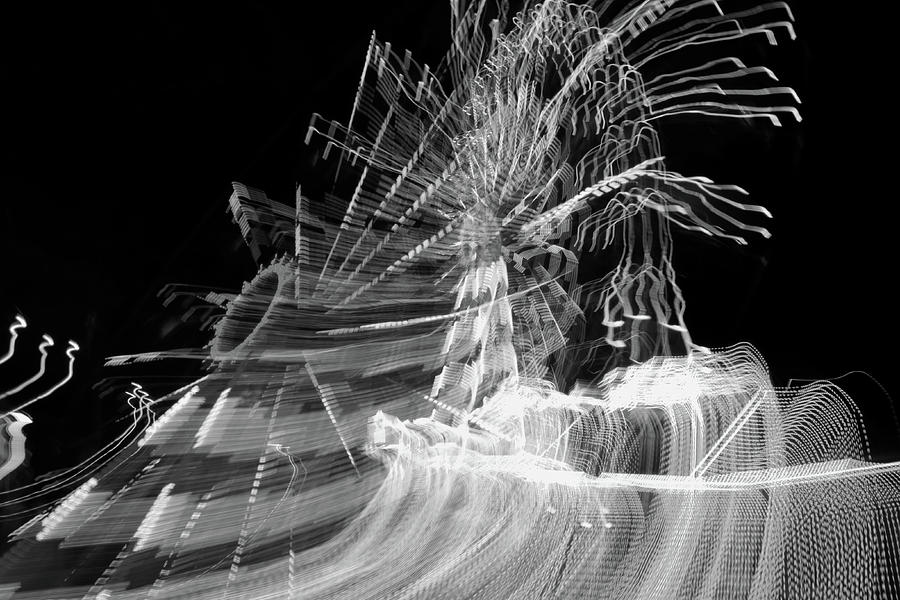 Black and white fantasy Pyrography by Bastian Eschenfelder Fine Art