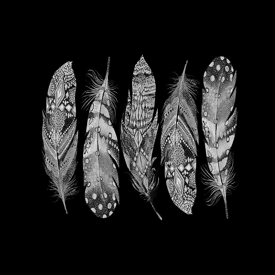 Black And White Feathers On Black Digital Art by HH Photography of Florida