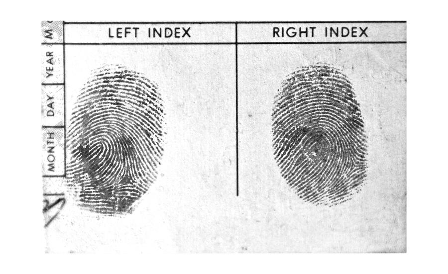 Black and White Fingerprints Photograph by Wwing