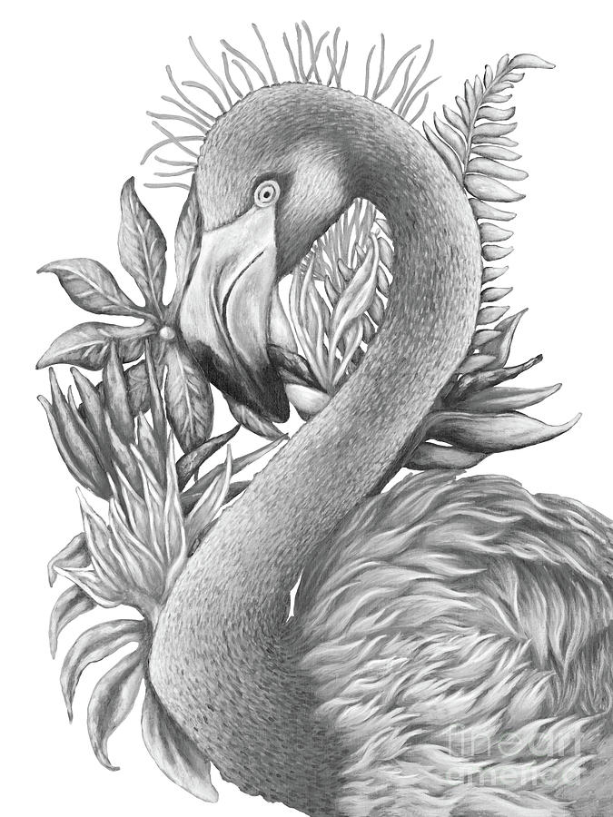 Black and white Flamingo painting Painting by Natureela D'Alba Fine