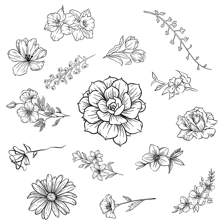 Black and White Floral Pattern Digital Art by Ali Baucom