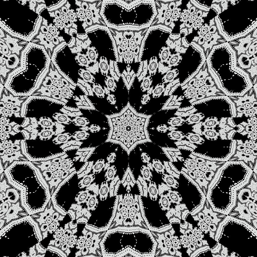 Black and White Flower Petals Abstract Digital Art by Kathrin Poersch ...