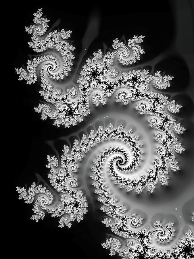 Black and White Fractal Art 02 Decorative Spirals Digital Art by Matthias Hauser
