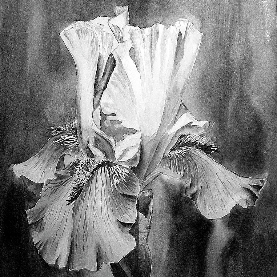 Black And White Garden Iris Flower Watercolor  Painting by Irina Sztukowski
