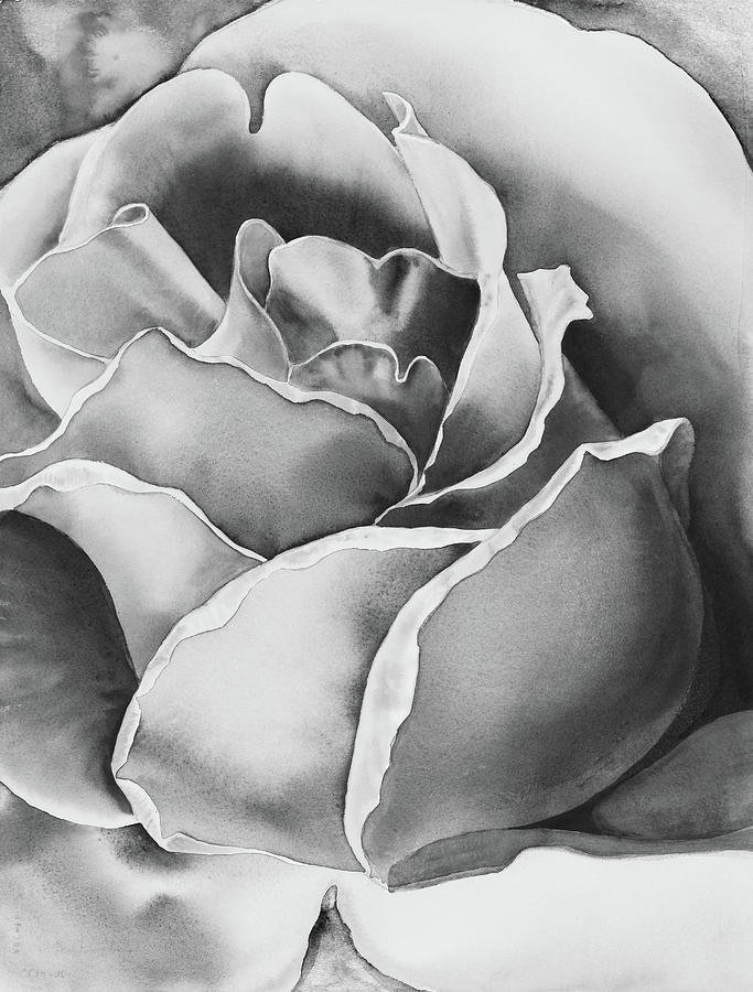 Black And White Garden Rose Flower  Painting by Irina Sztukowski