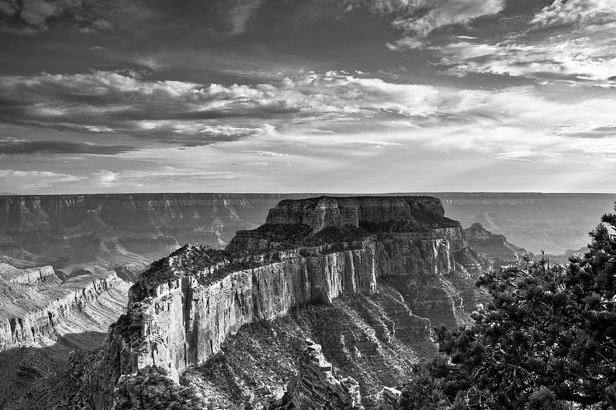 Black and white Grand Canyon  Photograph by Greg Wyatt