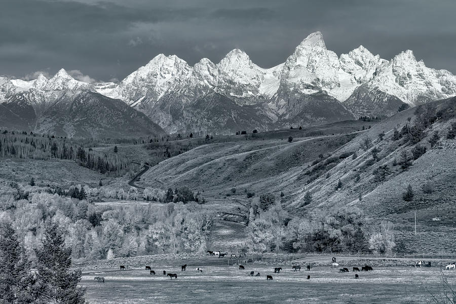Black and White Grand Tetons Landscape Photograph Photograph by Kathleen Bishop