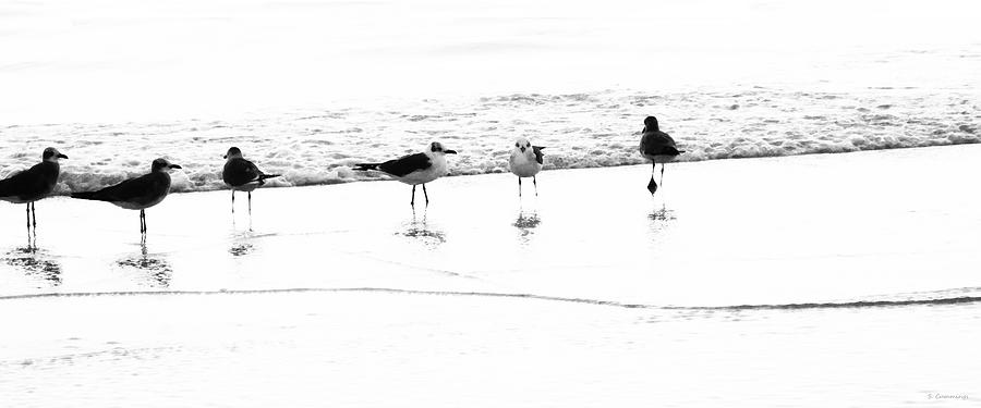 Black And White Gulls - Beach Art Painting by Sharon Cummings