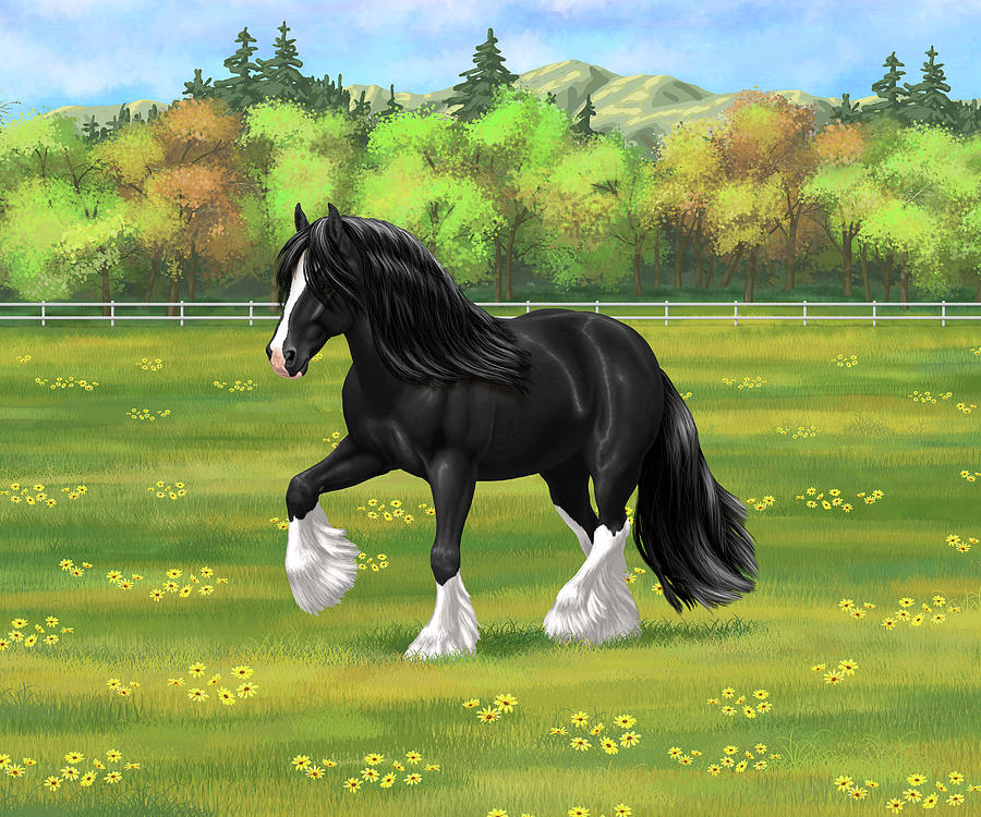 Black and White Gypsy Vanner Irish Cob Tinker Draft Horse Painting by Crista Forest