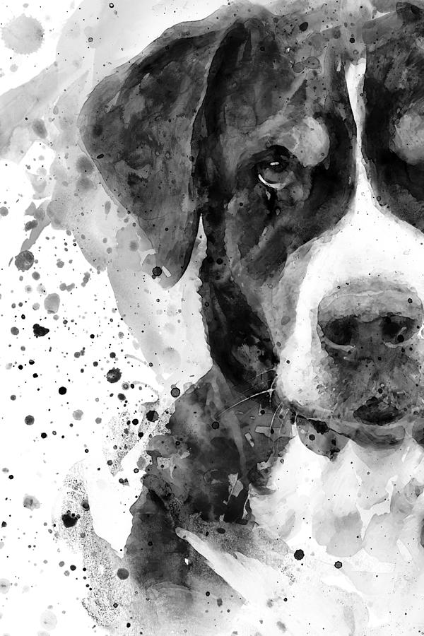 Black And White Painting - Black and White Half Faced Bernese Mountain Dog Portrait by Marian Voicu