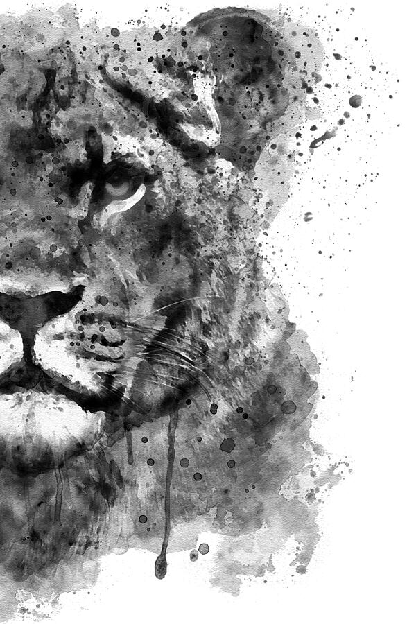 Black And White Painting - Black And White Half Faced Lioness by Marian Voicu
