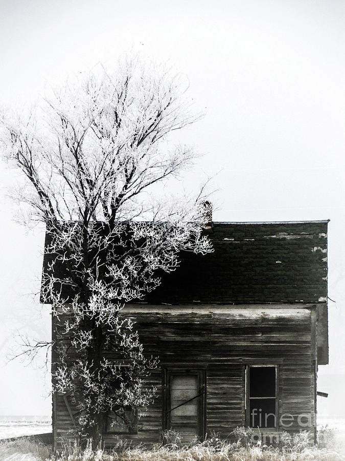 Black and White House in the Deep Freeze of Central, North Dakota. Photograph by Delynn Addams