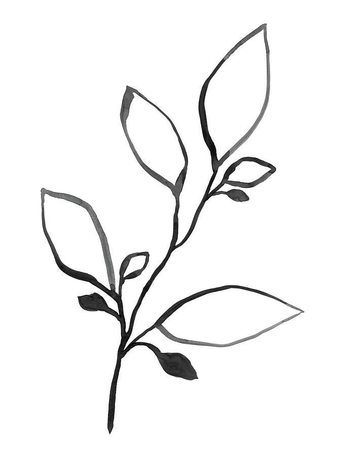 Black and White Ink Botanical Line Art Painting by Janine Aykens
