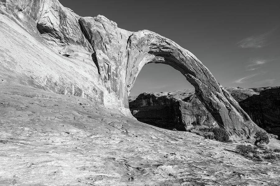 Black and White Photograph by James Marvin Phelps - Fine Art America