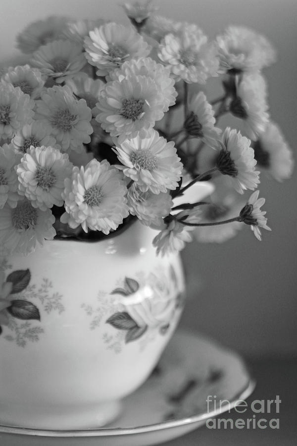 Black And White Jug n Daisies Photograph by Tracey Lee Cassin