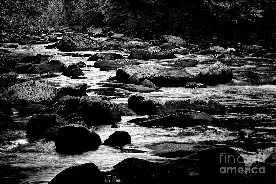 Black and White Little River 4 Photograph by Phil Perkins