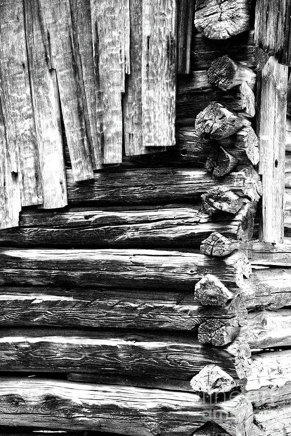 Black And White Log Cabin Photograph by Phil Perkins