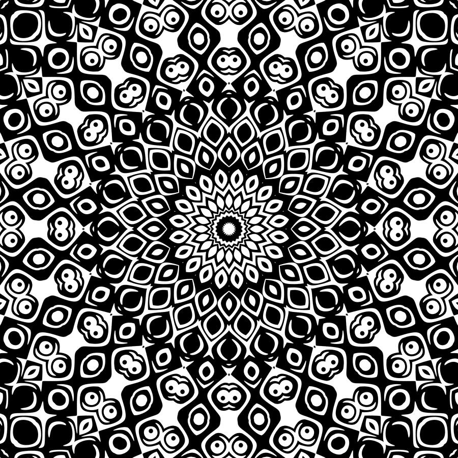 Black and White Mandala Kaleidoscope Medallion Digital Art by Mercury McCutcheon