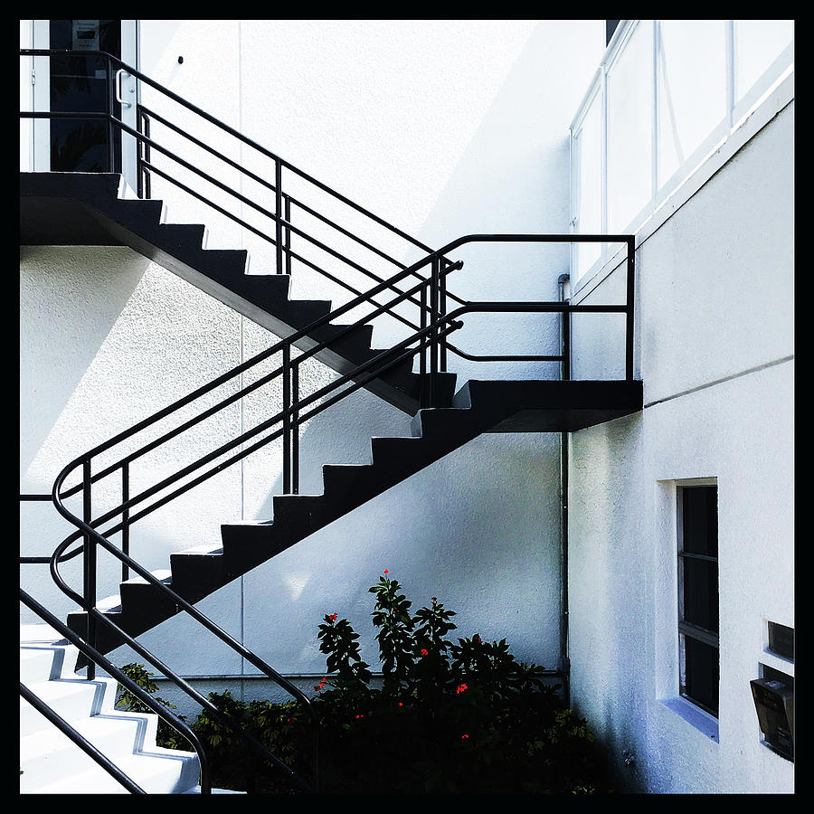 Black and white Photograph by Luz Resto Black and white Photograph by Luz Resto