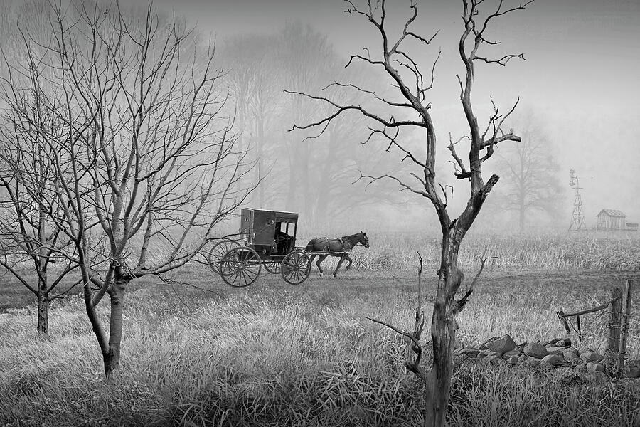 Black and White of Amish Buggy traveling in the morning fog Photograph by Randall Nyhof Black and White of Amish Buggy traveling in the morning fog Photograph by Randall Nyhof