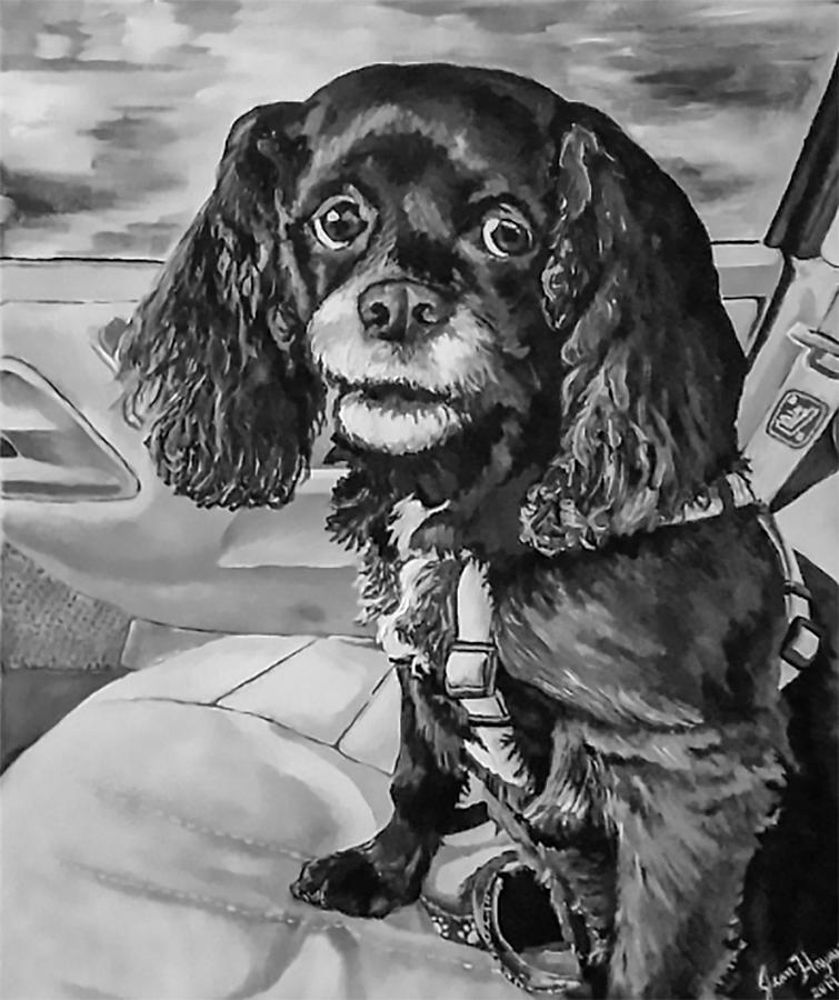 Black and White Pet Portrait Painting by Jean Haynes