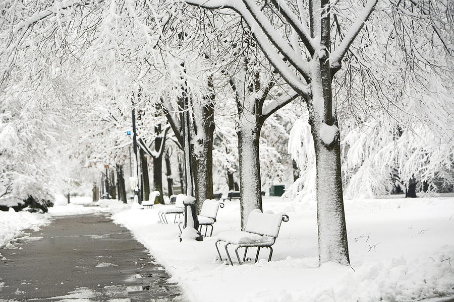 Black and white photo of a snow covered park Photograph by Terraxplorer